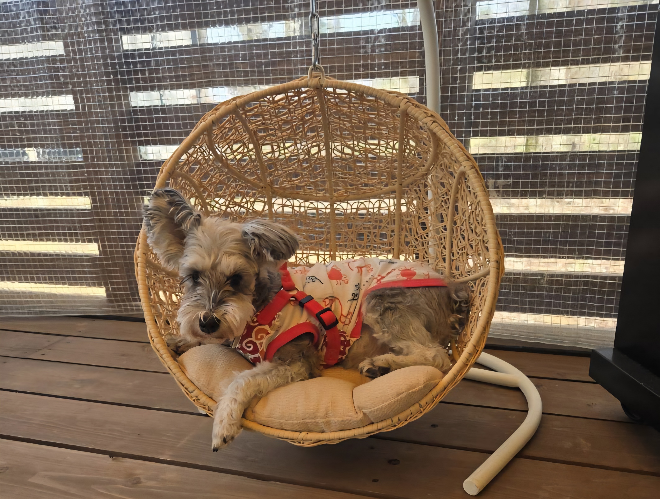 【ディナーまでの時間】 1